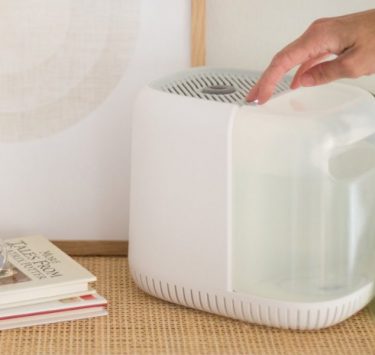 This Humidifier is the Key to Getting the Best Skin of Your Life