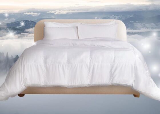 The Internet’s Favorite Comforter FINALLY Comes in an Ultra-Warming Winter Weight Version